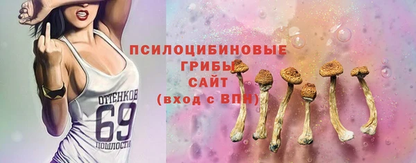 apvp Слюдянка