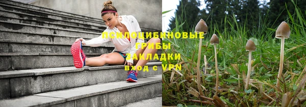 apvp Слюдянка